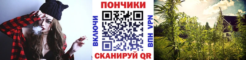 Наркота Тбилисская Псилоцибиновые грибы  ссылка на мегу зеркало  Мефедрон  Конопля  Alpha PVP 