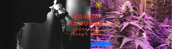 молекула духа Нягань