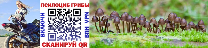 Галлюциногенные грибы Psilocybine cubensis Тбилисская